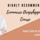 E-commerce dropshipping courses