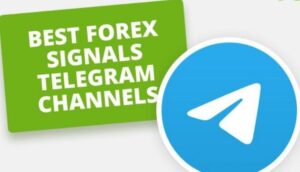 Crypto Telegram Groups