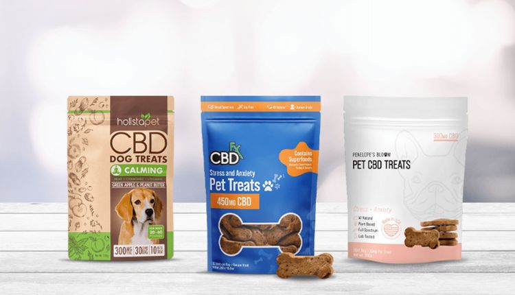 Get the Best CBD Dog Treats From All Paws Essentials