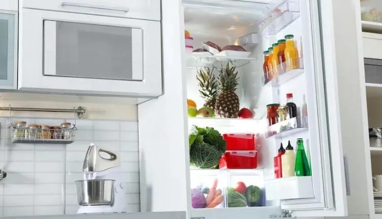 The Ultimate Guide to Water Filters for Refrigerators: What You Need to Know