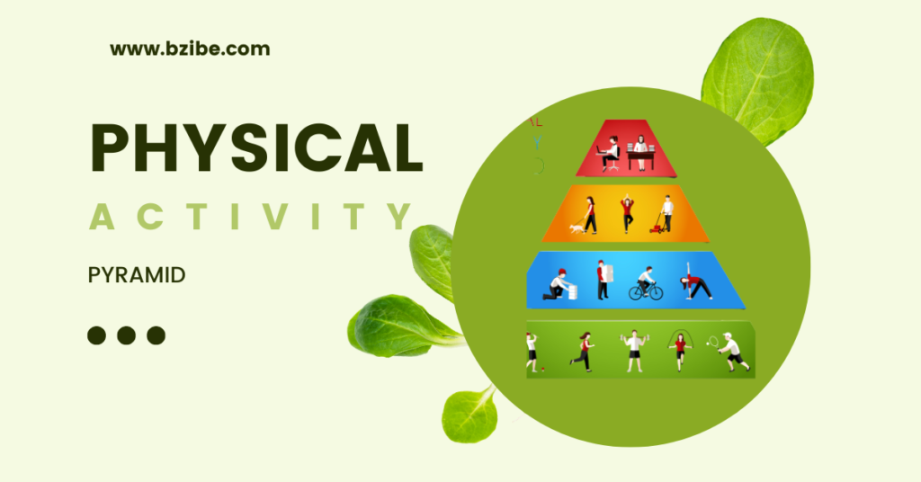 Decoding the Physical Activity Pyramid: Unveiling the Role of Lifestyle Activities