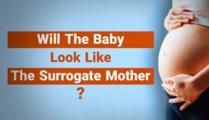 Understanding The Role Of Psychological Assessments In Surrogacy Agencies